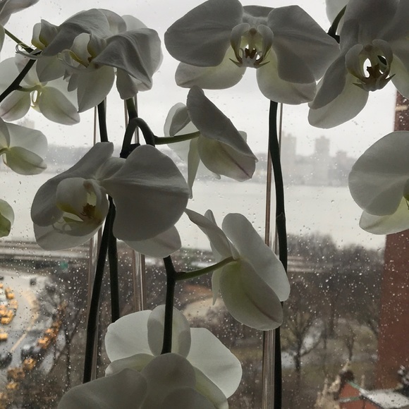 Meet your Posher, Sharon - Picture 1 of 1